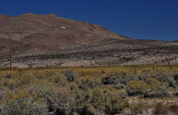 terrain